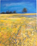 my_pics_yellow_field_old_milverton_d.jpg